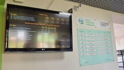 Всё об аллергии: рассказывает белгородский врач иммунолог-пульмонолог Ольга Пустовгар