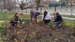 Грайворонцы поддержали национальный проект «Экологическое благополучие»
