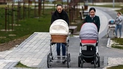 Выплата при рождении третьего ребёнка составила более 12 тыс. рублей в Белгородской области 