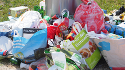 Депутаты выступили с инициативой запретить использование пластиковых пакетов