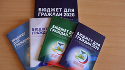 Новая брошюра департамента финансов региона познакомит белгородцев с законом о бюджете