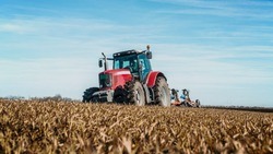 Минсельхоз РФ выделило 3,1 млрд рублей на поддержку аграрного сектора Белгородской области 