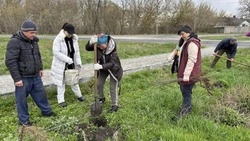 Грайворонский округ присоединился к акции «Сад памяти»