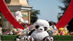 Вячеслав Гладков объявил о поступлении 3,5 млн рублей в Фонд помощи раненым детям