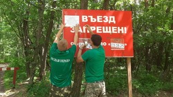 Грайворонцы поддержали Всероссийскую акцию «Останови огонь!»