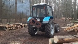 Специалисты Грайворонского лесхоза провели санитарные рубки в двух урочищах