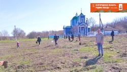 Грайворонцы поддержали международную акцию «Сад памяти»