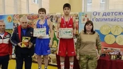Грайворонские боксёры завоевали три золотые и одну серебряную медаль