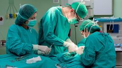 Белгородские врачи намерены провести 12 операций по трансплантации органов в 2018 году