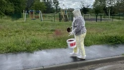 Специалисты провели барьерную дератизацию в Грайворонском округе