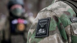 Вячеслав Гладков разъяснил условия предоставления выплаты бойцам отряда «Барс-Белгород»