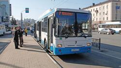 Белгородцы стали в два раза меньше ездить на общественном транспорте
