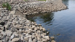 Работы по модернизации систем водоотведения начались в Грайвороне