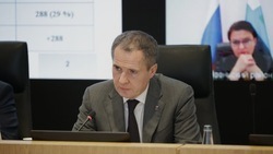 Вячеслав Гладков – о необходимости создать алгоритм действий для потенциальных резидентов СЭЗ