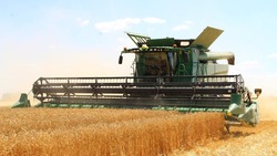 Глава Грайворонского округа дал предварительную оценку итогам уходящего сельскохозяйственного года
