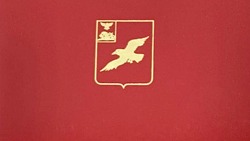 Решение Совета депутатов Грайворонского муниципального округа от 23.04.2025 года №246