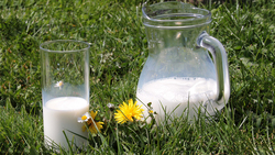Роспотребнадзор открыл «горячую линию» по изменению порядка выкладки молочной продукции