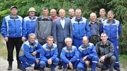 Грайворонские работники леса вырастили более 3 млн саженцев деревьев