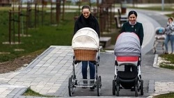 В Белгородской области за шесть лет 432 студенческие семьи получили выплату при рождении ребёнка