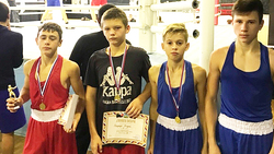 Четыре грайворонских спортсмена стали золотыми медалистами боксёрского турнира