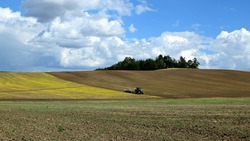 Весенний сев зерновых и технических культур завершился в Грайворонском горокруге