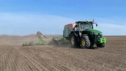 Аграрии завершили сев зерновых культур в Грайворонском округе
