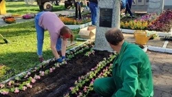 Грайворонцы высадили цветы у Мемориала Славы 