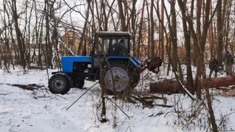 Грайворонские лесничие приступили к уборке неликвидной древесины