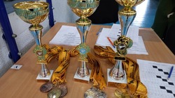Гора-подольцы стали победителями первенства Грайворонского округа по бадминтону