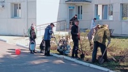 Работники Грайворонской ЦРБ провели уборку на территории медицинского учреждения