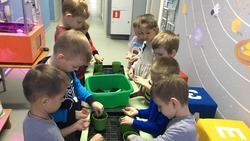 Проект «Растём, чтобы выращивать» завершился в Грайворонском детском саду «Капелька»