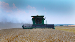Грайворонский округ вошёл в число лидеров по урожайности озимой пшеницы