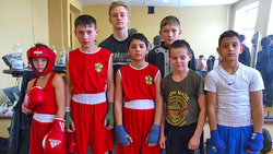 Юные боксёры впервые взошли на пьдестал почёта