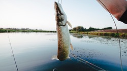 Власти предупредили грайворонских рыбаков об ответственности за незаконную ловлю
