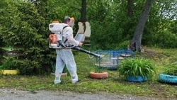 Коммунальные службы начали обработку парков от клещей в Грайворонском округе