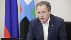 Вячеслав Гладков опроверг слухи о закрытии села Козинки