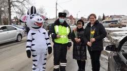 Грайворонские полицейские поздравили женщин-водителей