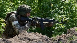 Белгородские власти выдали отрядам территориальной самообороны оружие 