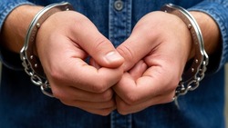 Житель Новосибирской области получил 14 лет за попытку теракта в Белгородской области