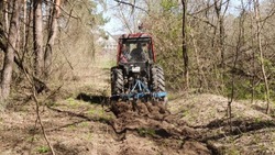 Власти ввели особый противопожарный режим в Белгородской области