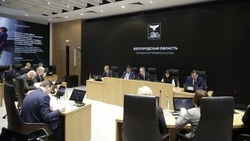 Губернатор Вячеслав Гладков поручил проработать установку генераторов на вышках сотовой связи