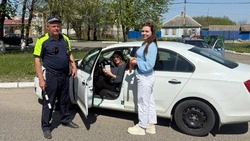 Грайворонцы провели акцию «Солдатская тропа» в канун Дня Победы
