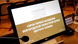 Белгородские депутаты поддержали поправки в Конституцию РФ