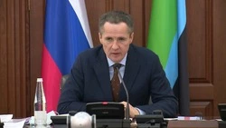 Вячеслав Гладков сообщил о выделении 300 миллионов рублей жителям пяти приграничных округов