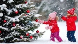 Грайворонцы присоединились к профилактической акции «Каникулы» перед новогодними праздниками