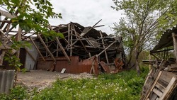Вячеслав Гладков: ещё 445 жителей региона получили господдержку за две недели