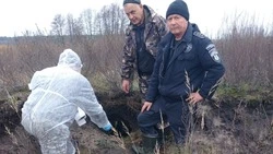 Ветеринарные службы предупредили об обнаружении бешенства у дикой лисицы в Борисовском районе