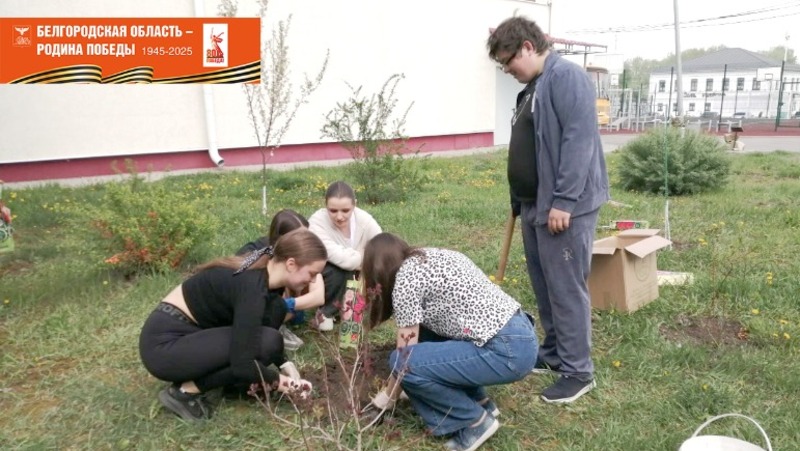 Грайворонцы поддержали международную патриотическую акцию «Сад памяти»
