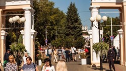 Белгородцы ознакомятся с будущей концепцией областного Центрального парка уже в декабре