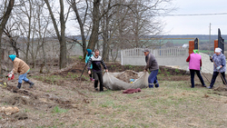 Жители Грайворонского села Дроновка провели субботник на территории кладбища